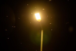 Travel Safely on Ohio's Lakeshore Roads During Mayfly Season