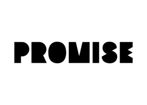 PROMISE EXPANDS INVESTOR BASE WITH STRATEGIC INVESTMENT FROM GOOGLE'S AI FUTURES FUND, CROSSBEAM, KIVU VENTURES, SAGA VENTURES, & OTHER TOP INVESTORS