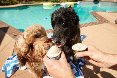 Pets can enjoy free pup cups of ice cream in-store, courtesy of participating brands, in honor of National Ice Cream Day on July 20.