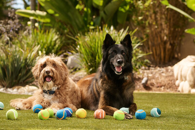 Customers can spend $50 and get a free three-pack of tennis balls in-store from May 23 through May 26.