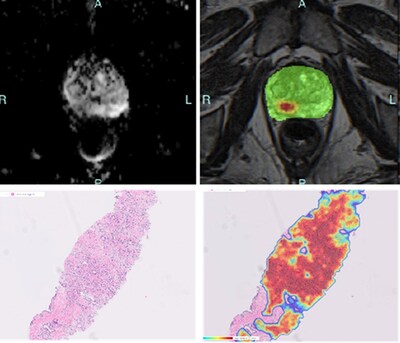 Unable to view the image, Please provide a valid URL.