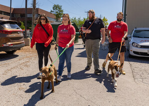 Purina Provides Over 30,000 Pounds of Food and Dedicates More Than 5,000 Volunteer Hours to Helping People and Pets in Need During 24th Purina Cares Day