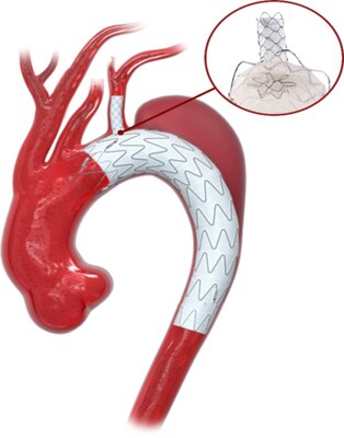 Unable to view the image, Please provide a valid URL.