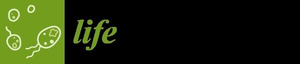 LIFE LIFE