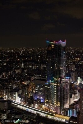 Tokyu Kabukicho Tower with Rainbow Colors
