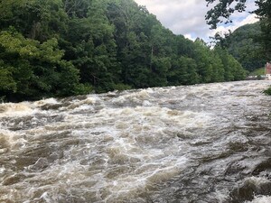 Pigeon River Restoration Efforts Continue with Walleye Release and Enhanced Recreational Opportunities