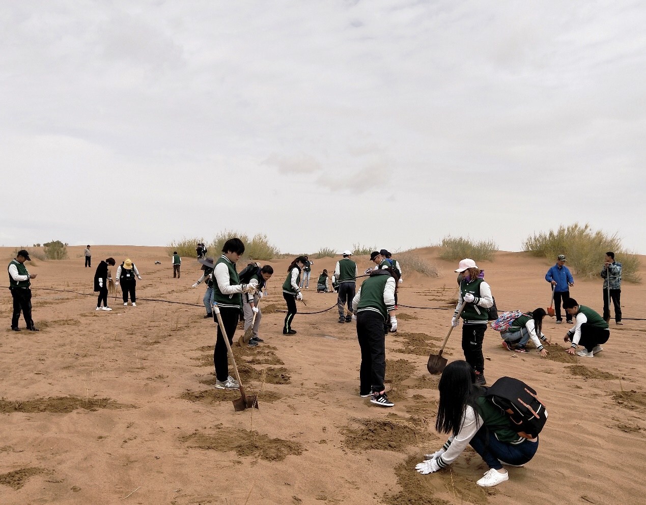 Unable to view the image, Please provide a valid URL.