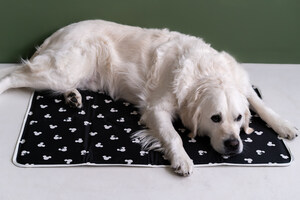 New Disney Collection from Green Pet Launches May 30 Featuring Cool Pet Pads