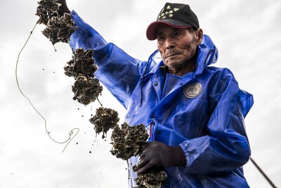 A Taiwanese oyster farmer contributes to a circular future — his discarded shells are transformed into Seawool®, a sustainable and high-performance textile.