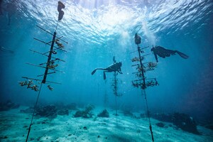 THE CARIBBEAN'S CORAL CHAMPIONS: SANDALS® RESORTS CELEBRATES WORLD OCEAN MONTH WITH NEW CORAL RESTORATION PROGRAMS