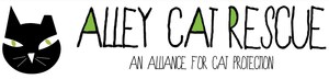 South African Cat Welfare Groups Join Forces to Promote Alley Cat Rescue's Feral Fix Challenge Across Country