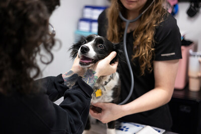 New national PetSmart Charities of Canada-Gallup State of Pet Care Study reveals half of Canadian pet parents have either skipped or declined necessary veterinary care.