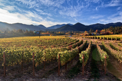 Rogue Valley wine country by David Ledger