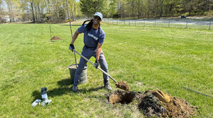 JCP&amp;L Employee Volunteers Plant Thousands of Donated Trees in N.J.