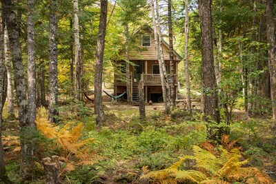 Wild Fox Cabins & Campground is offering 25% off cabins