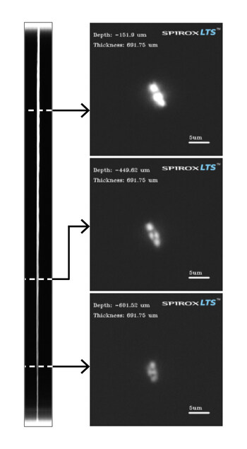 Spirox SP8000G enables observation of the modified beam profile and inspection of uniformity across vertical depth variations prior to etching