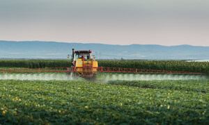 Marler Clark files first Federal Cucumber Lawsuit against grower linked to two Salmonella Outbreaks