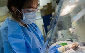 SoBran, Inc. Expands BioScience Services to Los Angeles, Enhancing Preclinical Research Support