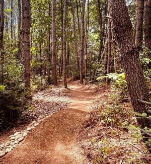 Trail Users in the Midcoast of Maine can Double Their Impact for Midcoast Trails Stewardship During the "Double the Dirt" Campaign