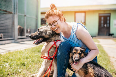 24PET BY PETPLACE ANNONCE SES PLANS POUR 24PETSHELTER, UNE ÉVOLUTION LOGICIELLE INNOVANTE CONÇUE POUR MIEUX AIDER LES ORGANISATIONS DE PROTECTION DES ANIMAUX