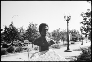 The Dr. Huey P. Newton Foundation and Stanford University Libraries Announce the Completion of the Digitization of a Selection of The Dr. Huey P. Newton Foundation Inc. Collection