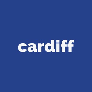 William Stern's Cardiff Redefines Working Capital for Small Businesses