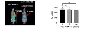 Actinium Highlights Expanded Data Set for ATNM-400 in Prostate Cancer Demonstrating Superior Efficacy to Enzalutamide and Ability to Overcome Resistance to ARPI Therapy and PSMA-Ac-225/Lu-177 Labelled Radiotherapy at the Society of Nuclear Medicine & Molecular Imaging Annual Meeting