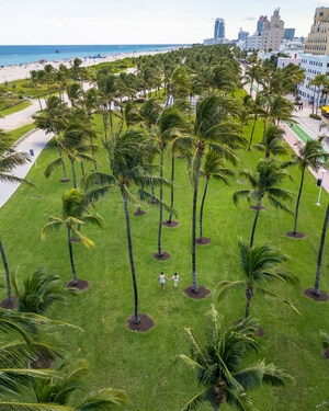 Miami Beach Named No. 1 Honeymoon Destination in the U.S. Thanks to Effortless Romance, Affordable Accommodations and Couple-Friendly Experiences