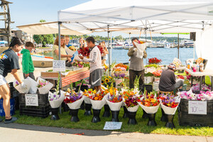 Kirkland Downtown Association Welcomes Summer with Weekly Wednesday Markets at the Marina