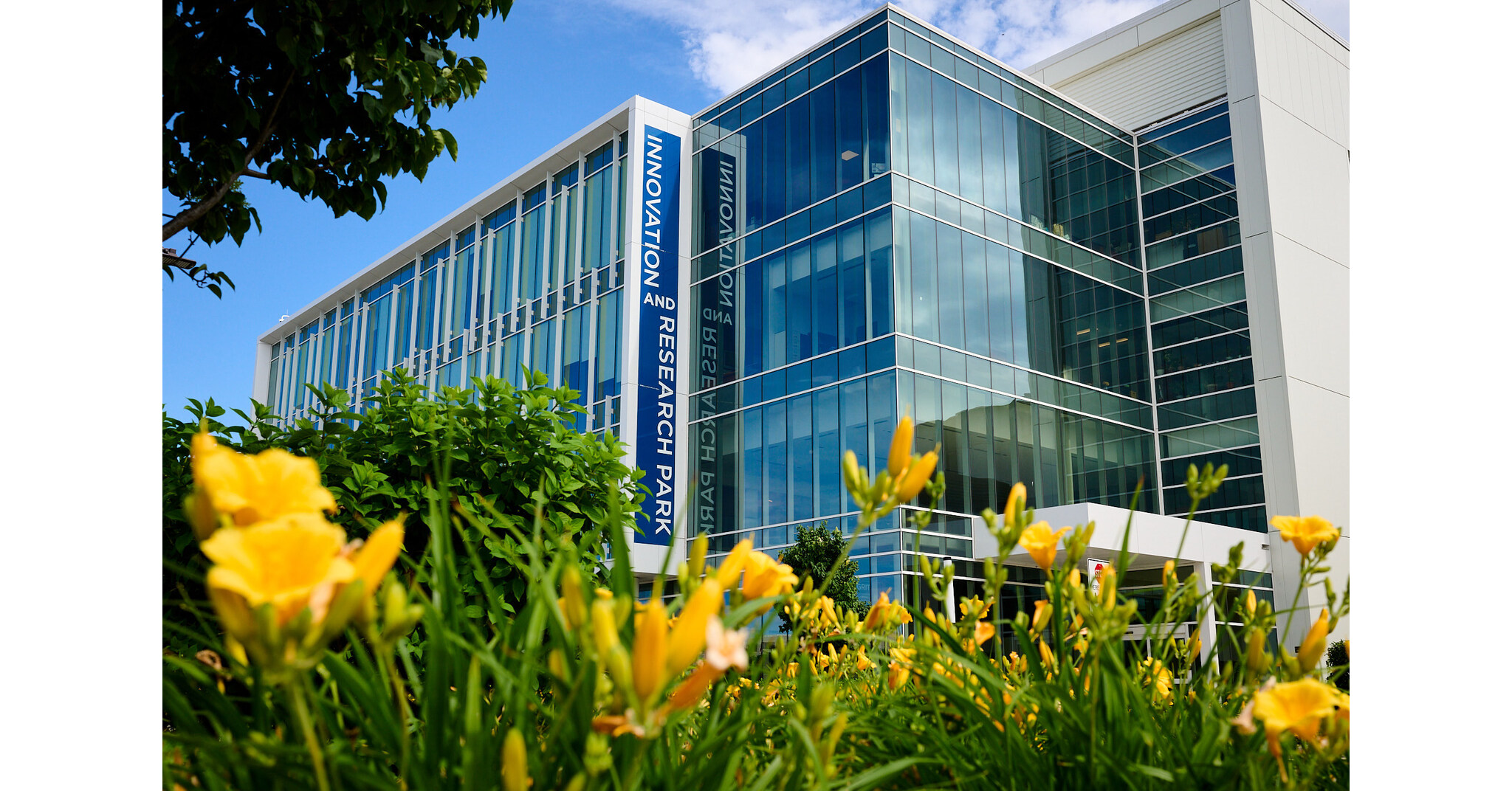 Rosalind Franklin University Helix 51 Company UP Oncolytics Secures ...