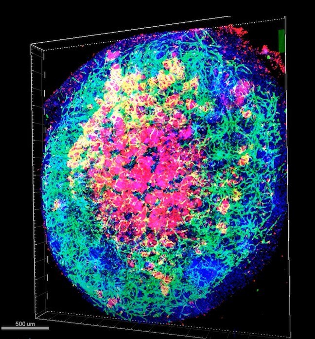 Unable to view the image, Please provide a valid URL.