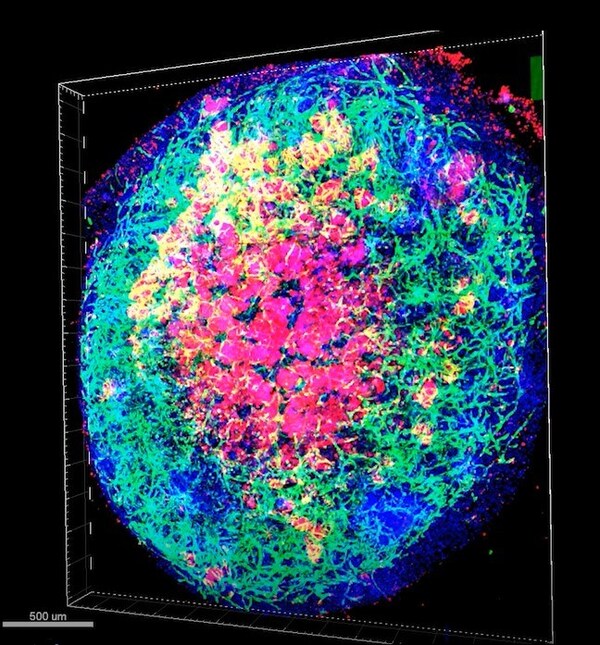 Unable to view the image, Please provide a valid URL.