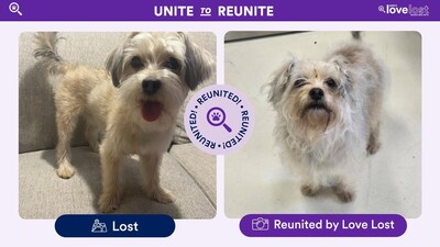 As National Lost Pet Prevention Month begins in July, national nonprofit organization Petco Love is sharing Ziggy’s story to highlight the urgent need for pet parents to prepare—before pets go missing.