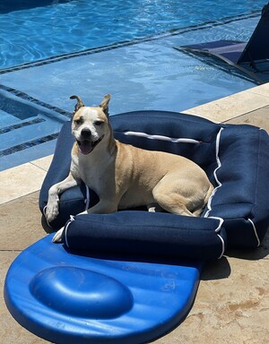 Keep Summer Fun & Safe for Pets With These Tips from the TurfMutt Foundation