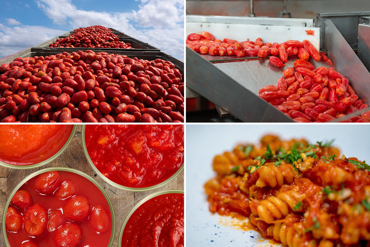 Launch of EU co-funded Campaign promoting high-quality European and Italian Canned Tomatoes in the UK