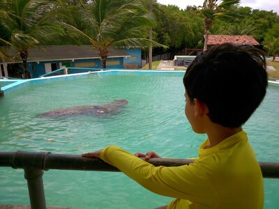 Non-toxic & permanent: The Penetron System was used as a durable waterproofing solution for the large concrete holding tanks where the manatees are cared for at the CMA’s Ecopark in Brazil.