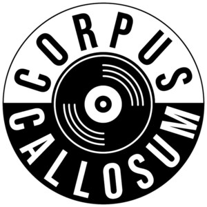 Ray Incident Launches Fifth Album, Angels of Reflection, on July 1st