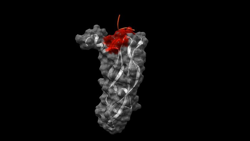 Unable to view the image, Please provide a valid URL.