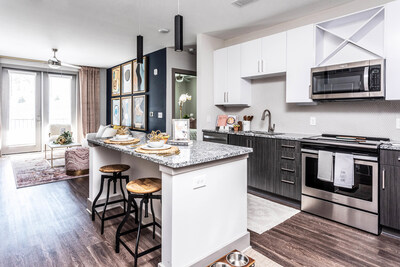 Skye Suwanee Town Center Apartment