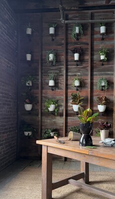 Locally made and thoughtfully designed, Tennessee Clay ceramic pots are produced just miles from the clay source at a one-of-a-kind, high-tech facility in McKenzie, Tennessee.