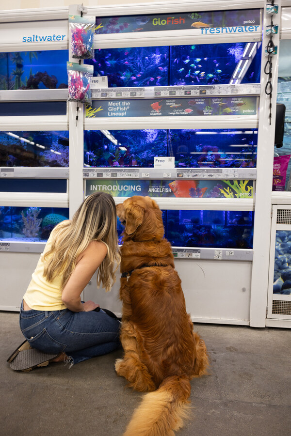 Escape the Dog Days of Summer and Get 20% Off at Petco