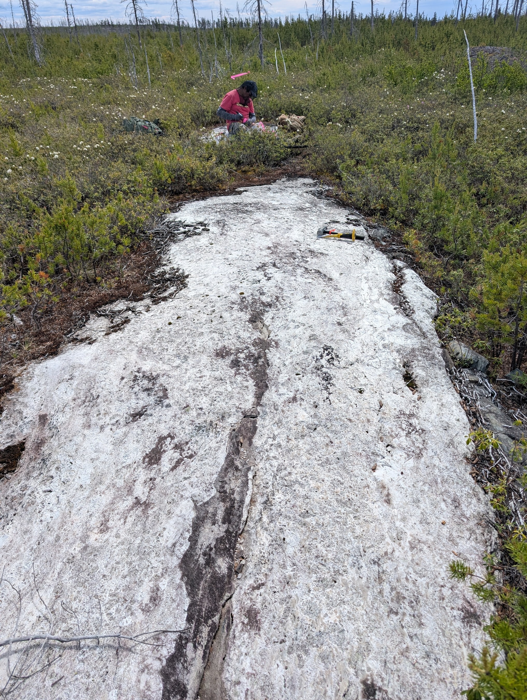 Figure 1: Elmer East – Spodumene-Bearing White Pegmatite Dyke (Sample E6481494 Location) (CNW Group/Comet Lithium Corporation) Figure 1: Elmer East – Spodumene-Bearing White Pegmatite Dyke (Sample E6481494 Location) (CNW Group/Comet Lithium Corporation)
