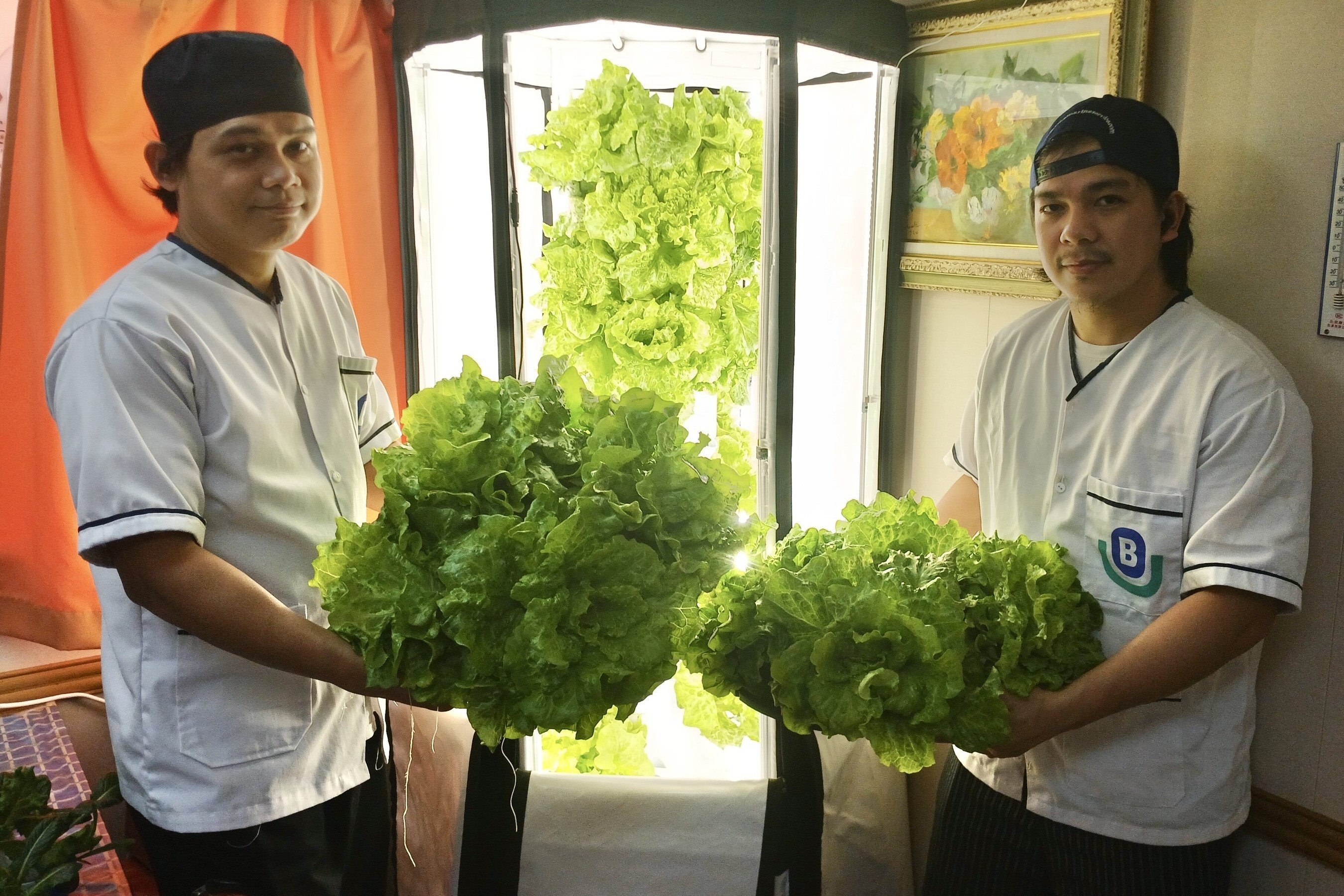 Unable to view the image, Please provide a valid URL.