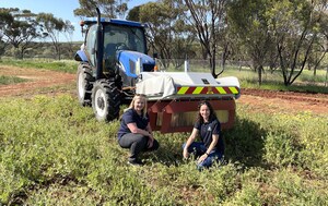 Electric Weed Control Proves Shockingly Effective