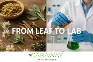 From Leaf to Lab: Caraway Tea Merges Traditional Herbs with Modern Science