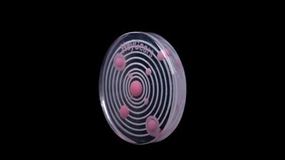 Unable to view the image, Please provide a valid URL.