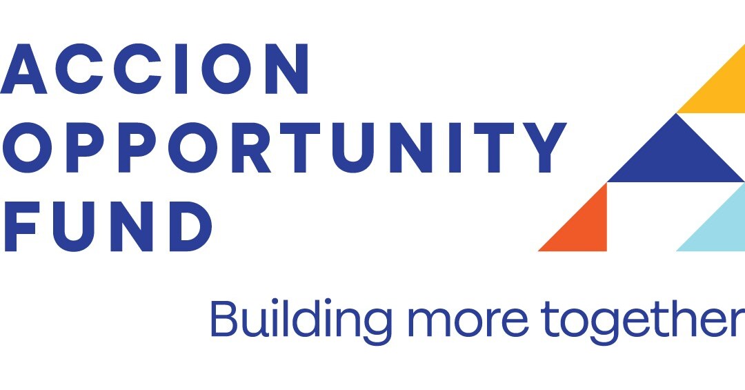 Michael Schlein Appointed Chair of the Board at Accion Opportunity Fund