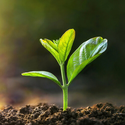 Cognizant_Kramp_Collab