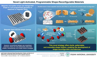 DS-CAN-based magnetic micropillar arrays allow reversible, on-demand, and contactless shape reconfiguration and shape fixation, through exposure to ultraviolet light at room temperature or upon heating, enabling the development of advanced microdevices with unique capabilities.