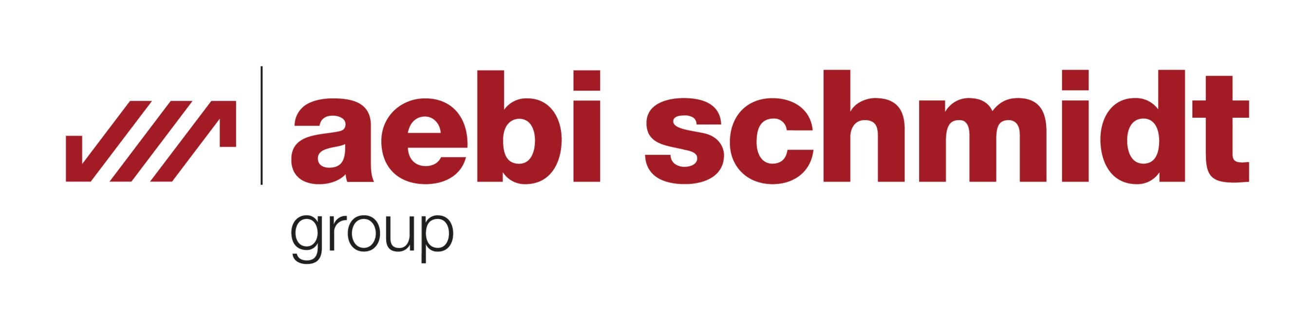 Aebi Schmidt Group building momentum after merging with The Shyft Group; Strong order backlog, additional synergy upside and commitment to delever